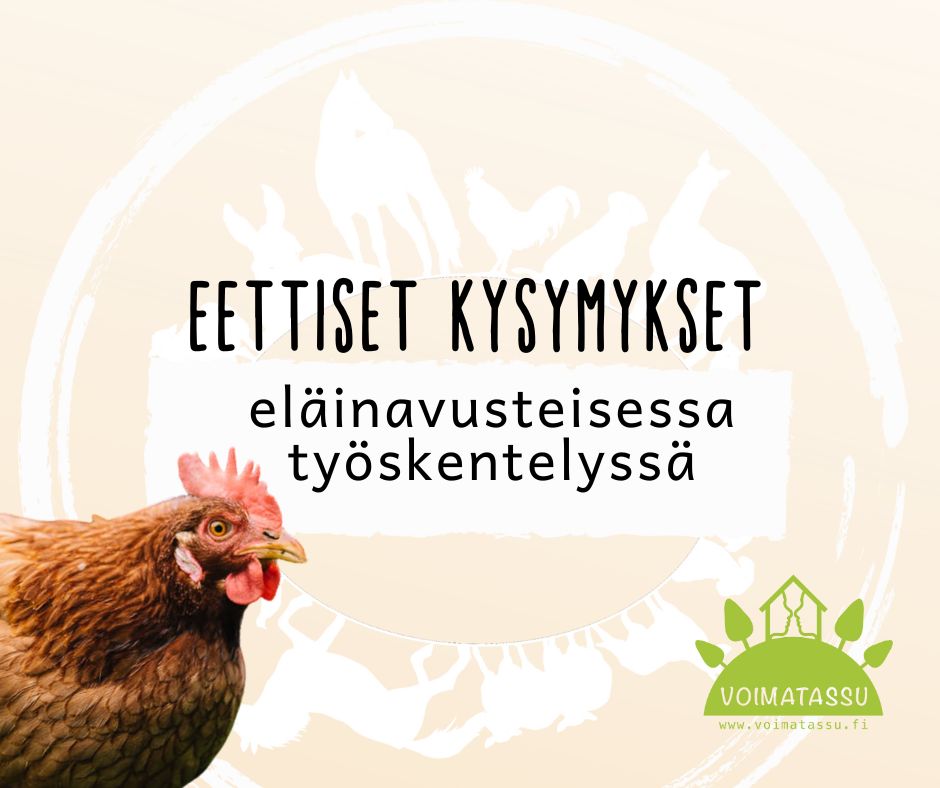 eettiset kysymykset eläinavusteisessa työskentelyssä luento