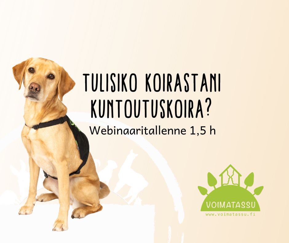 Tulisiko koirastani kuntoutuskoira? Webinaaritallenne