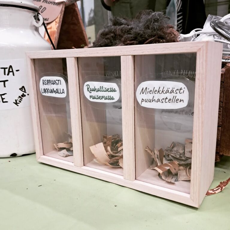 Toimintaterapia-opiskelijana Voimatassulla