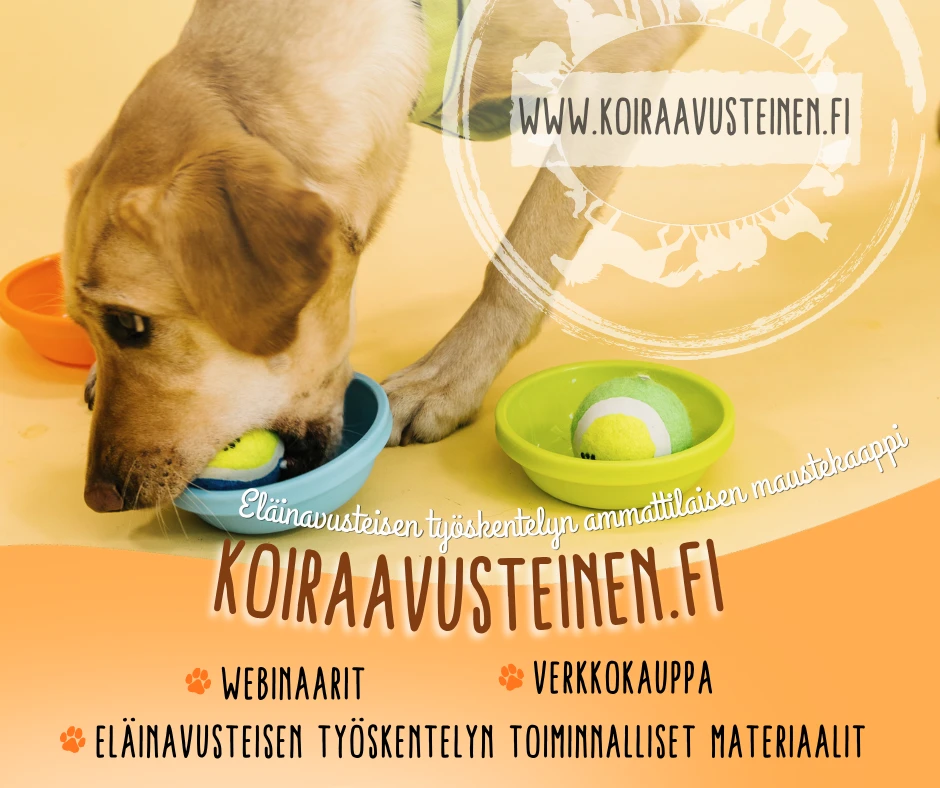 Koiraavusteinen.fi – tutustu eläinavusteisen työskentelyn webinaareihin ja materiaaleihin